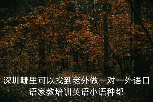 深圳 德語家教，深圳在哪里可以請到德語教師