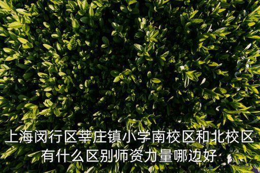 上海閔行區(qū)莘莊鎮(zhèn)小學(xué)南校區(qū)和北校區(qū)有什么區(qū)別師資力量哪邊好