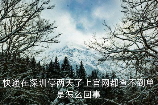 快遞在深圳停兩天了上官網都查不到單是怎么回事
