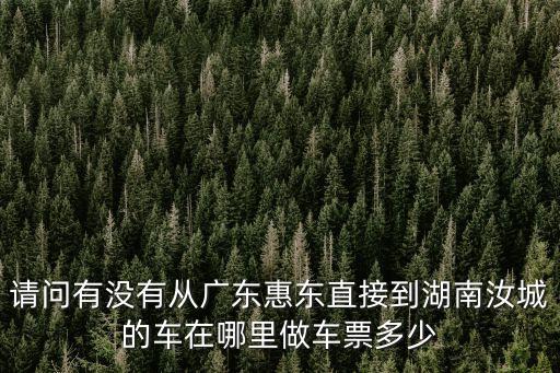 請(qǐng)問(wèn)有沒(méi)有從廣東惠東直接到湖南汝城的車(chē)在哪里做車(chē)票多少
