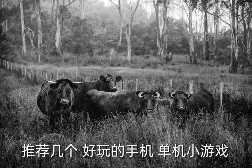 推薦幾個(gè) 好玩的手機(jī) 單機(jī)小游戲