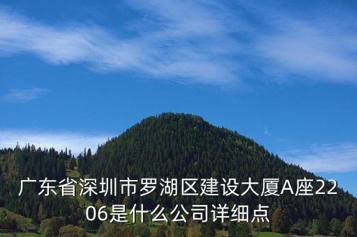 廣東省深圳市羅湖區建設大廈A座2206是什么公司詳細點