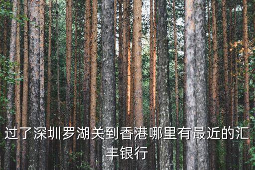 過了深圳羅湖關(guān)到香港哪里有最近的匯豐銀行