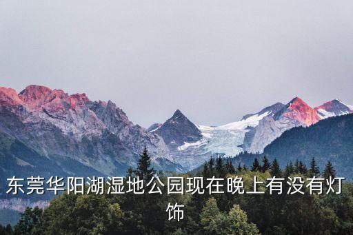 東莞華陽湖濕地公園現在晚上有沒有燈飾
