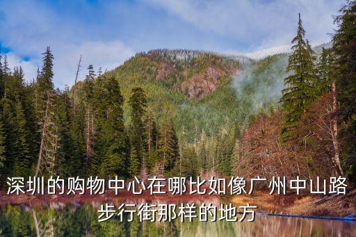深圳的購物中心在哪比如像廣州中山路步行街那樣的地方