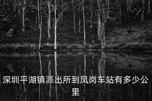 深圳平湖鎮派出所到鳳崗車站有多少公里