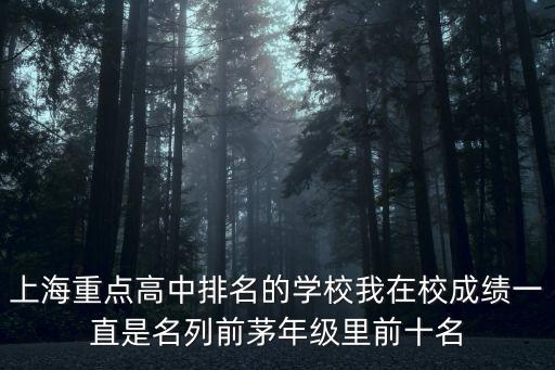 上海重點高中排名的學校我在校成績一直是名列前茅年級里前十名