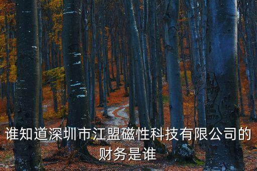 誰知道深圳市江盟磁性科技有限公司的財務是誰