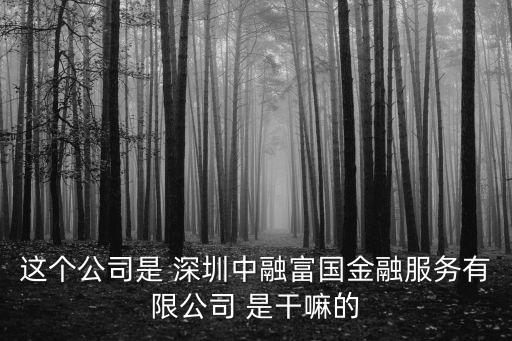 這個公司是 深圳中融富國金融服務有限公司 是干嘛的
