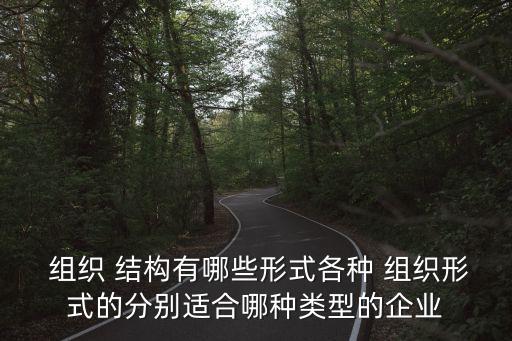  組織 結(jié)構(gòu)有哪些形式各種 組織形式的分別適合哪種類型的企業(yè)