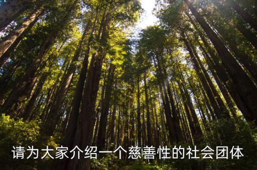 請為大家介紹一個慈善性的社會團體