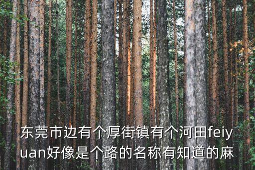 東莞市邊有個(gè)厚街鎮(zhèn)有個(gè)河田feiyuan好像是個(gè)路的名稱有知道的麻