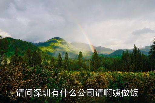 請問深圳有什么公司請啊姨做飯