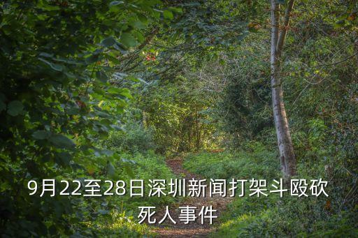 9月22至28日深圳新聞打架斗毆砍死人事件