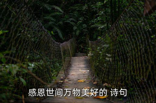 感恩節的詩句,感恩節寫給老師的詩句有關于老師!
