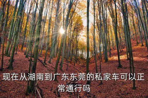 現在從湖南到廣東東莞的私家車可以正常通行嗎
