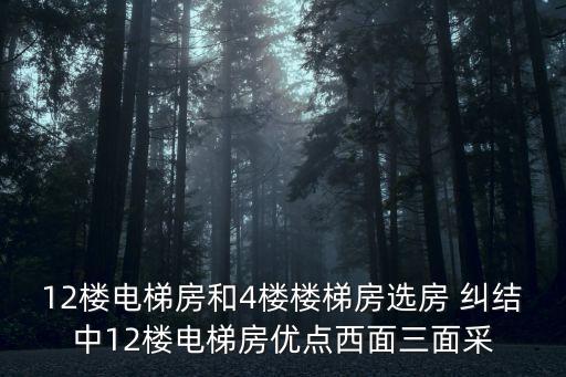 上海市區江景電梯房，有兩套樓房一套是120平電梯房他是九樓頂房一套是90平的步梯