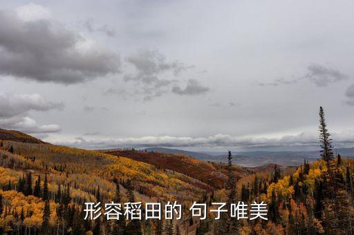 形容稻田的 句子唯美