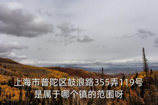 上海市普陀區鼓浪路355弄119號是屬于哪個鎮的范圍呀