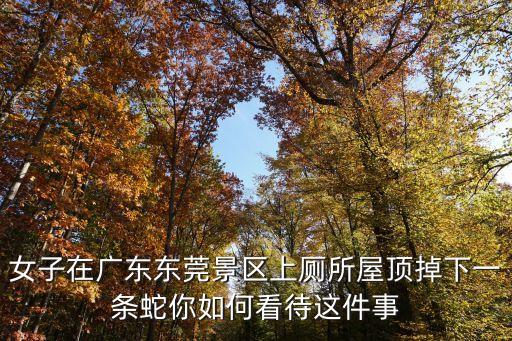 女子在廣東東莞景區上廁所屋頂掉下一條蛇你如何看待這件事
