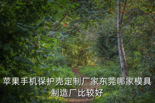 蘋果手機保護殼定制廠家東莞哪家模具制造廠比較好