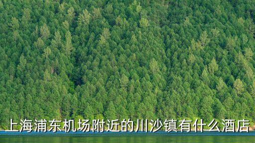 上海浦東機(jī)場(chǎng)附近的川沙鎮(zhèn)有什么酒店