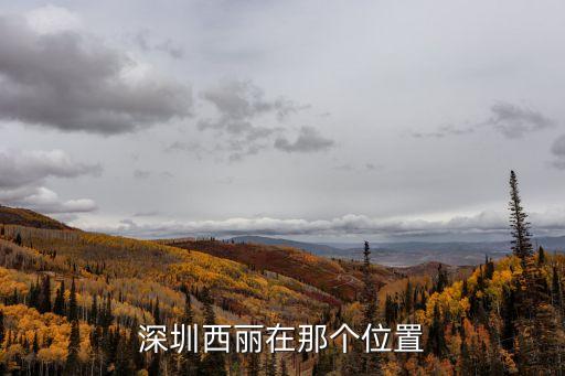 深圳西麗在那個位置