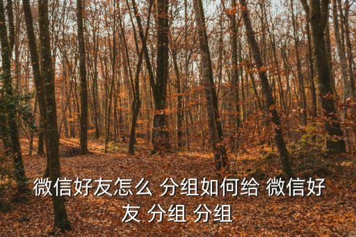  微信好友怎么 分組如何給 微信好友 分組 分組