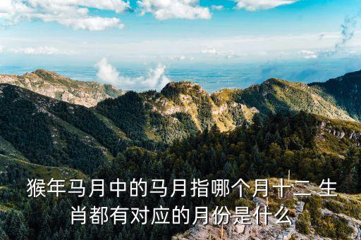 猴年馬月打一生肖