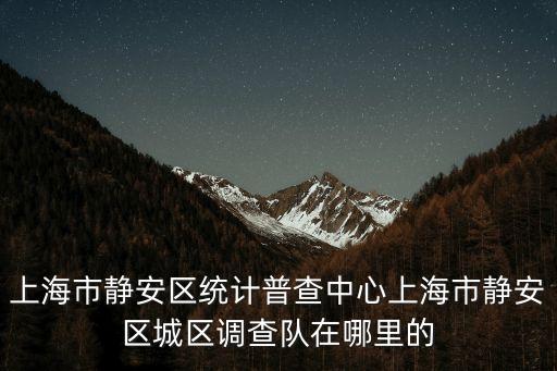 上海市靜安區(qū)統(tǒng)計普查中心上海市靜安區(qū)城區(qū)調查隊在哪里的