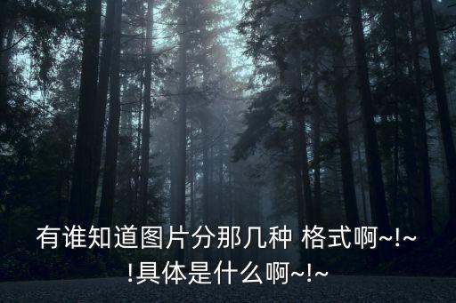 WMF格式,wmf格式用什么軟件打開
