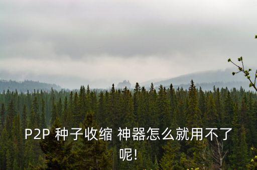 p2p種子神器,btbt子種子搜索神器2015下載