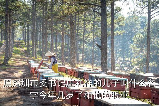原深圳市委書記莊禮祥的兒子叫什么名字今年幾歲了和他的職業