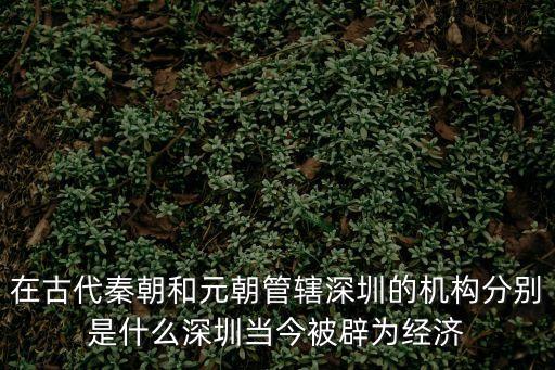在古代秦朝和元朝管轄深圳的機構分別是什么深圳當今被辟為經濟