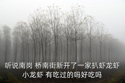 聽(tīng)說(shuō)南崗 橋南街新開(kāi)了一家扒蝦龍蝦小龍蝦 有吃過(guò)的嗎好吃嗎