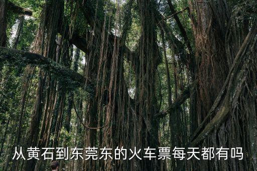 從黃石到東莞東的火車票每天都有嗎