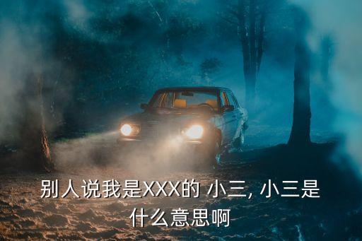 別人說我是XXX的 小三, 小三是什么意思啊