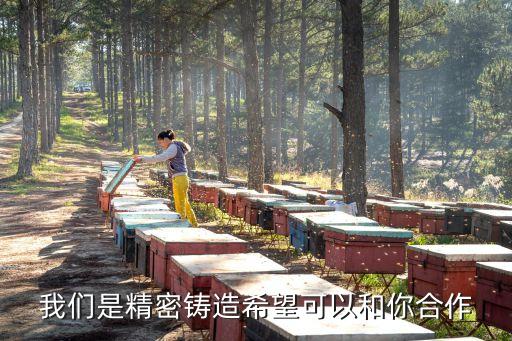 我們是精密鑄造希望可以和你合作