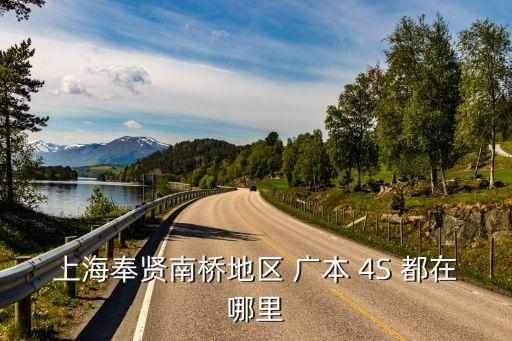 上海奉賢南橋地區(qū) 廣本 4S 都在哪里