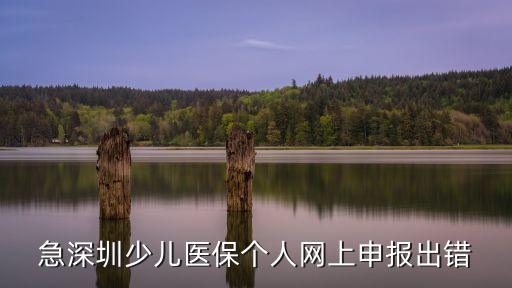 深圳自助申報不通過，深圳國稅普通發(fā)票在線月申報時系統(tǒng)提示申報信息解密失敗請問