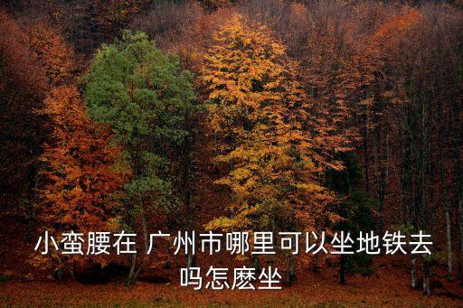  小蠻腰在 廣州市哪里可以坐地鐵去嗎怎麼坐