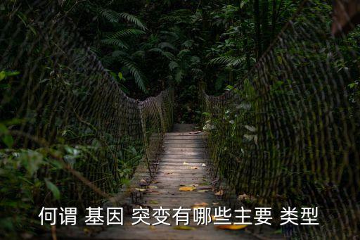 何謂 基因 突變有哪些主要 類型