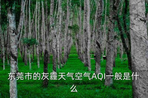 東莞市重污染天氣預(yù)警，東莞市灰霾天氣空氣指數(shù)是多少
