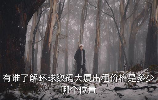 深圳市環球數據中心，深圳環球雅思地址在哪兒