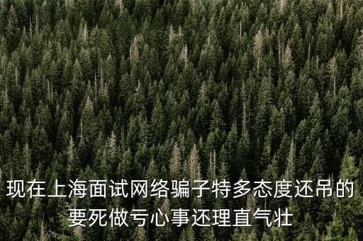 現(xiàn)在上海面試網(wǎng)絡(luò)騙子特多態(tài)度還吊的要死做虧心事還理直氣壯