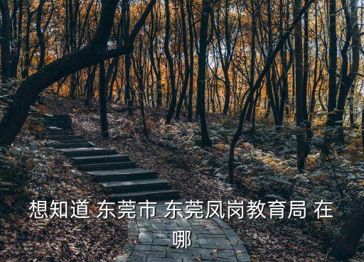 想知道 東莞市 東莞鳳崗教育局 在哪