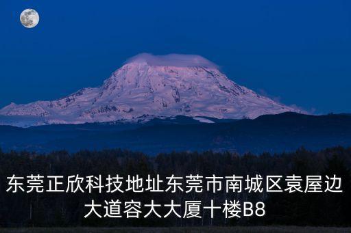 東莞正欣科技地址東莞市南城區袁屋邊大道容大大廈十樓B8