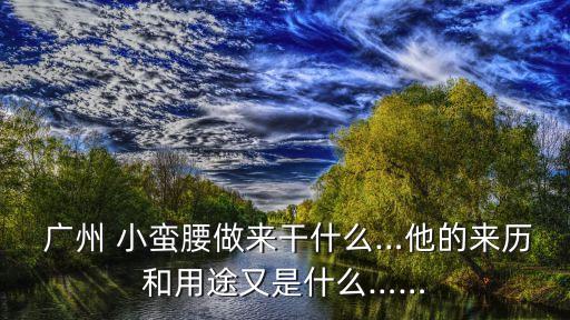  廣州 小蠻腰做來干什么…他的來歷和用途又是什么……