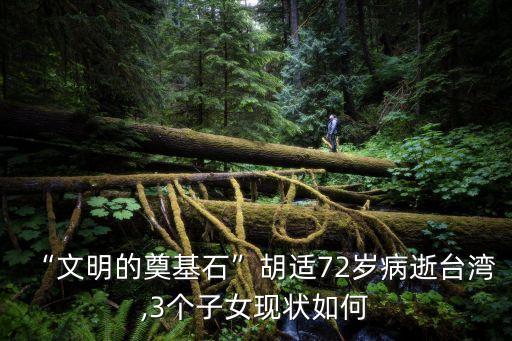 “文明的奠基石”胡適72歲病逝臺灣,3個子女現狀如何