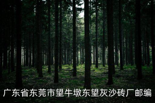 廣東省東莞市望牛墩東望灰沙磚廠郵編